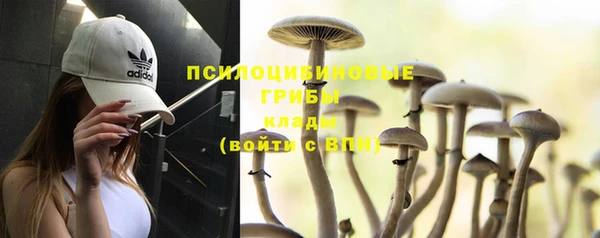 дурь Богданович