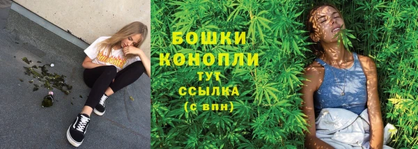 дурь Богданович