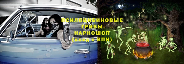 дурь Богданович