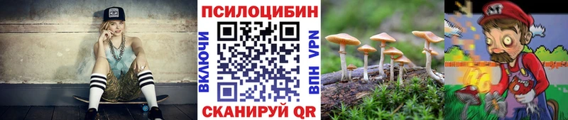 хочу   Уссурийск  Псилоцибиновые грибы MAGIC MUSHROOMS 